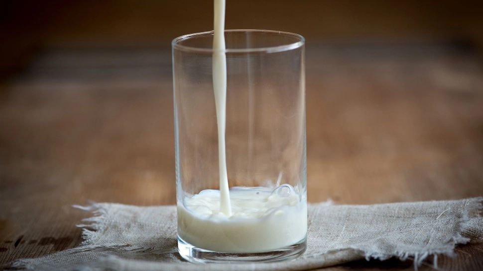 Meniul zilnic poate periclita sănătatea: cele mai frecvente alergii alimentare