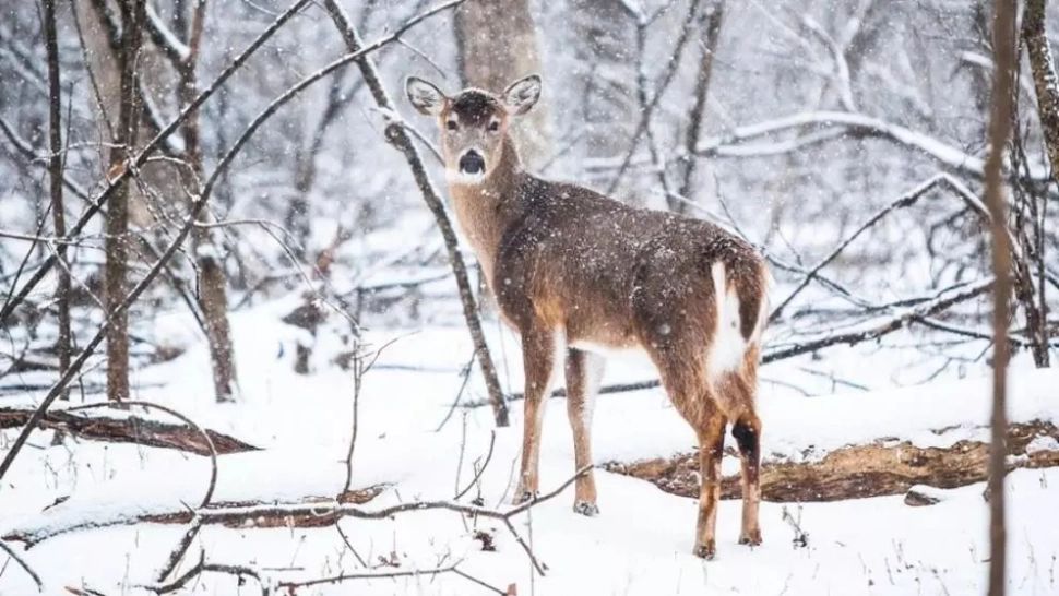 Locul ascuns din România unde oamenii se vindecă de boli în mod miraculos