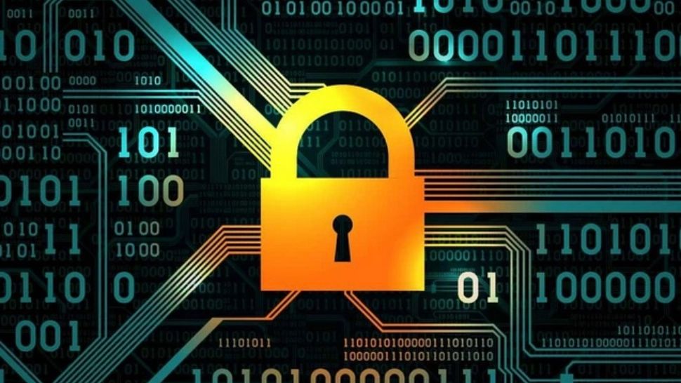 Escrocherie de milioane cu burse școlare printr-o fundație fantomă, pusă la cale de un tânăr cu 11 clase 