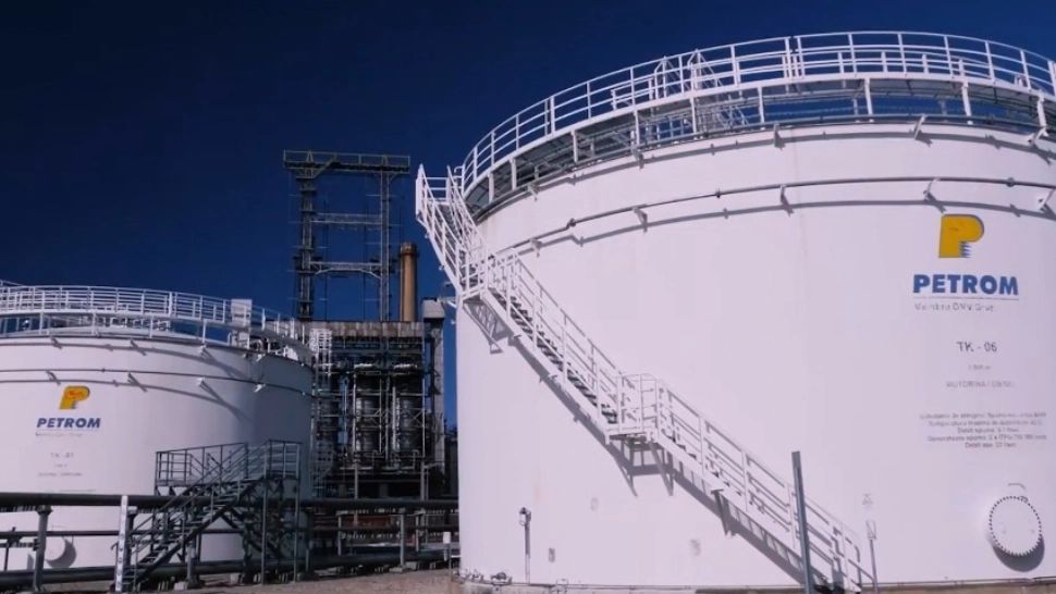 Interesele economice ascunse ale Austriei în România - 7.500 de companii cu capital austriac activează în România