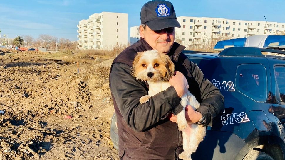 Miracol de sărbători. Căţeluşă furată, găsită după doi ani, cu ajutorul cipului