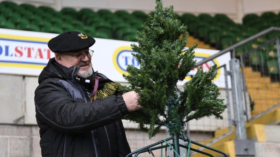 Cum verifici dacă bradul de Crăciun va rezista mult timp