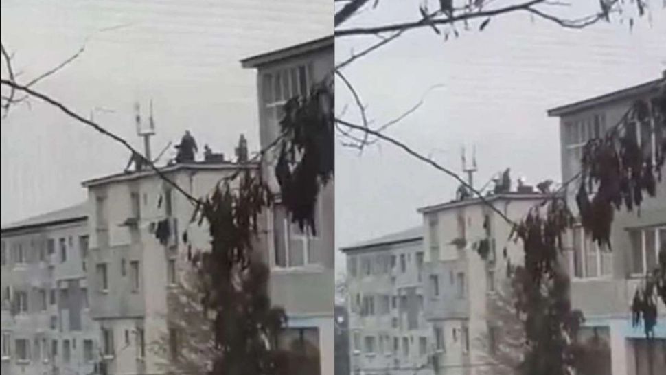 Au tăiat porcul de Crăciun pe bloc. Imagini șocante de la Baia Mare