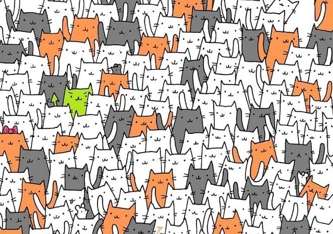 Găsește iepurașul ascuns printre pisicuțe în 15 secunde - provocarea care te va scoate din minți! Numai 2% găsesc rezolvarea 