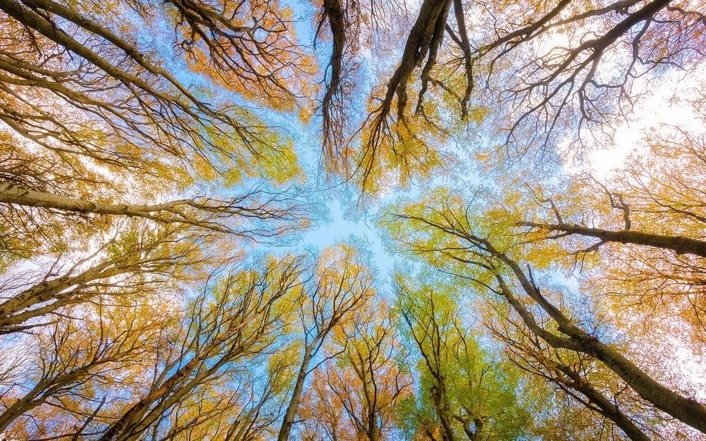 Val de aer tropical peste România: temperaturile urcă brusc la 15 grade - unde continuă să ningă