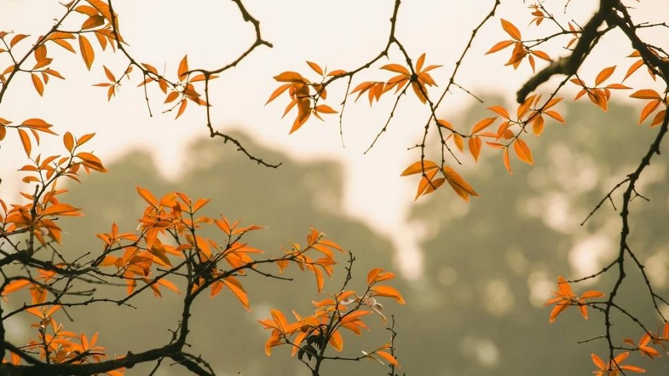 Vreme din ce în ce mai caldă, maxime de până la 16 grade - Temperatura în toate zonele țării