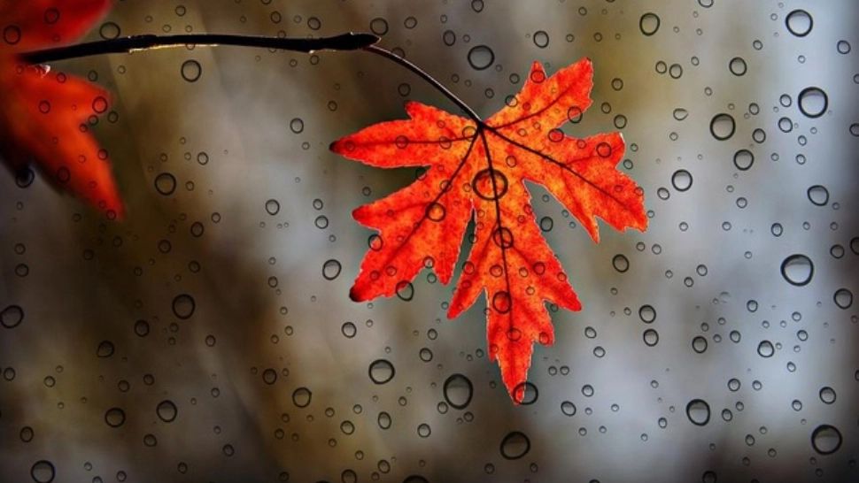 Se apropie depresia de toamnă - Cum poți să te ferești de stările negative aduse de schimbarea anotimpului