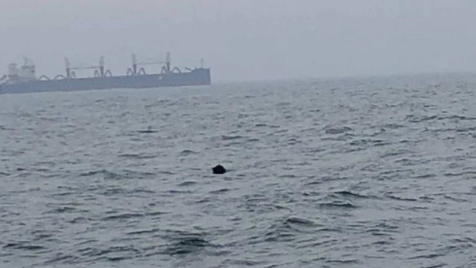 Mină marină, descoperită în apropierea Portului Constanţa