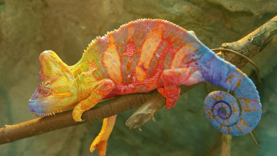 6 zodii care URĂSC schimbarea - Nativii sunt inflexibili - Care este cea mai mare frică a lor