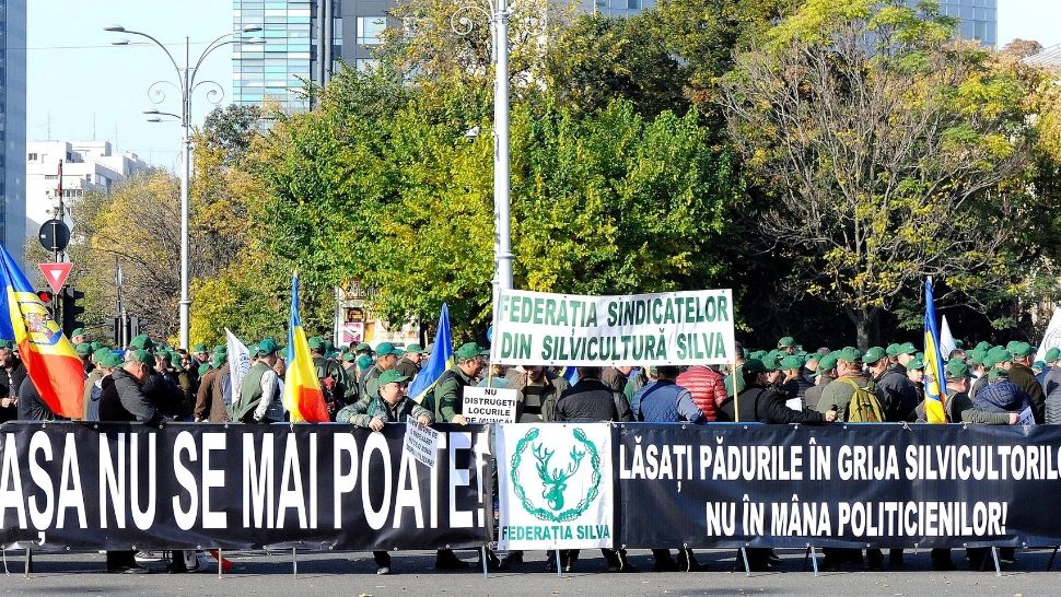Protest de amploare la Guvern: MII de oameni NU vor privatizarea pădurilor - JAFUL devine legal după măsurile de la Bruxelles