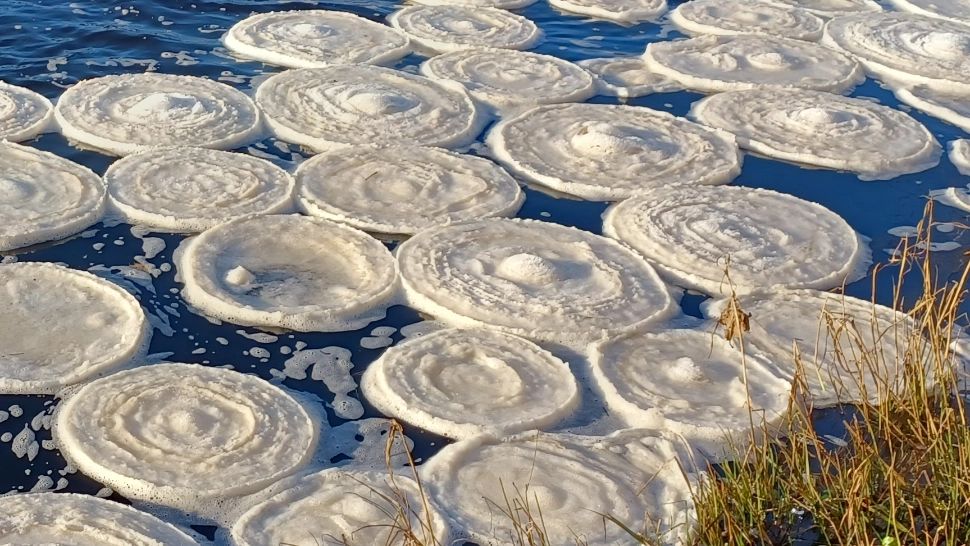 Ce sunt „clătitele de gheață” din Scoția și America - Sunt unice în lume - FOTO&VIDEO