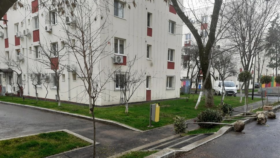 Copaci și spații verzi în zona Melinești, un loc transformat total