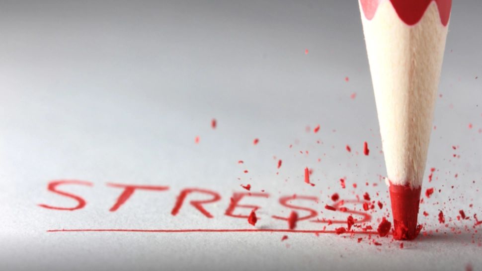 Ce este bine să mănânci în perioadele stresante: exemple de alimente care te pot ajuta cu adevărat