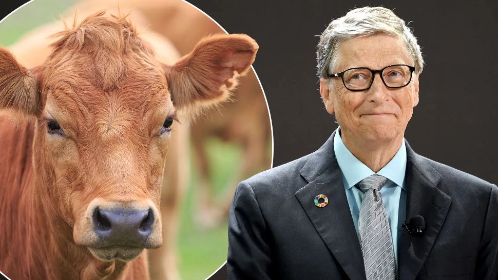 Bill Gates susține că vom mânca mai multă „carne falsă” în viitor: „Totul se reduce la bani”