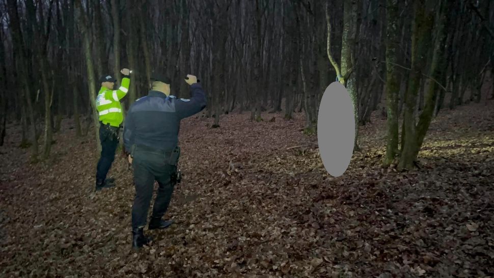 Bărbat reținut după ce a spânzurat un câine de un copac, în județul Arad - VIDEO