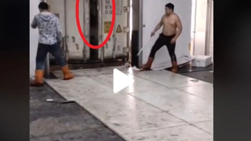 VIDEO – Au deschis ușa camionului că să-l descarce – Ce a urmat întrece orice imaginație