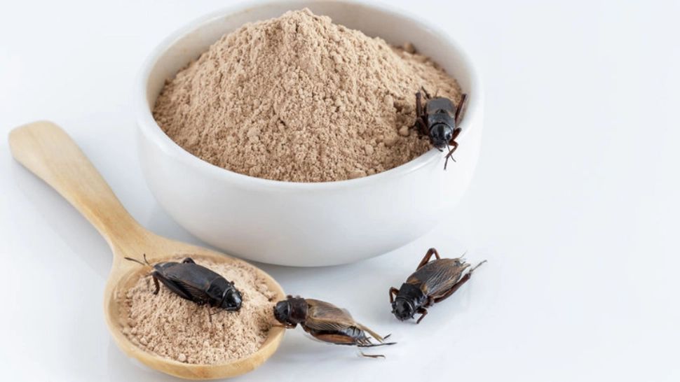 Făina de greiere a apărut în România. Prețul uriaș pentru 100 de grame