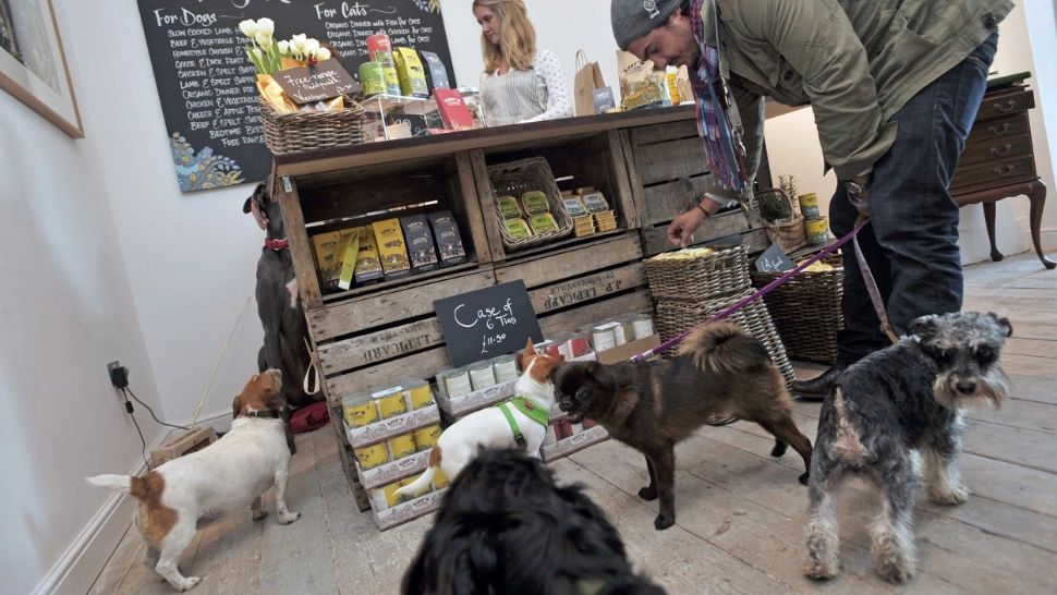 Putem mânca din hrană pentru animale? Efectele sunt surprinzătoare