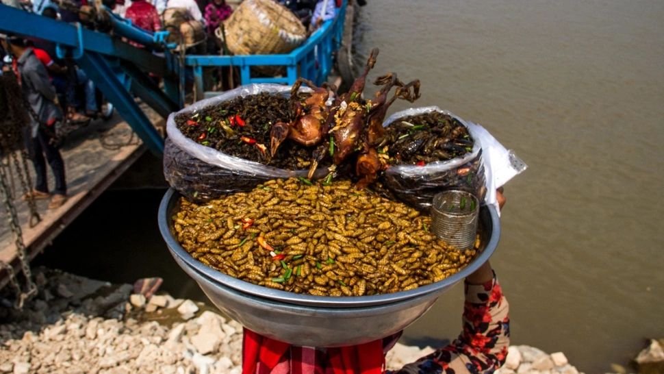 Insecte în farfurie. 10 gusturi care seamănă cu ceea ce mănânci de obicei