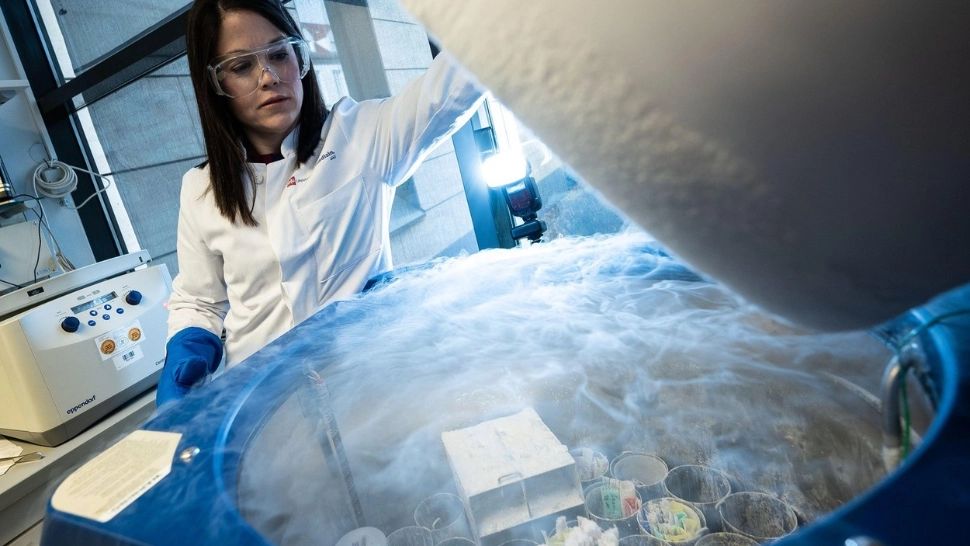 Fabrica de bebeluși, o realitatea a viitorului. Părinții își vor "proiecta" copiii ca pe un meniu la fast food