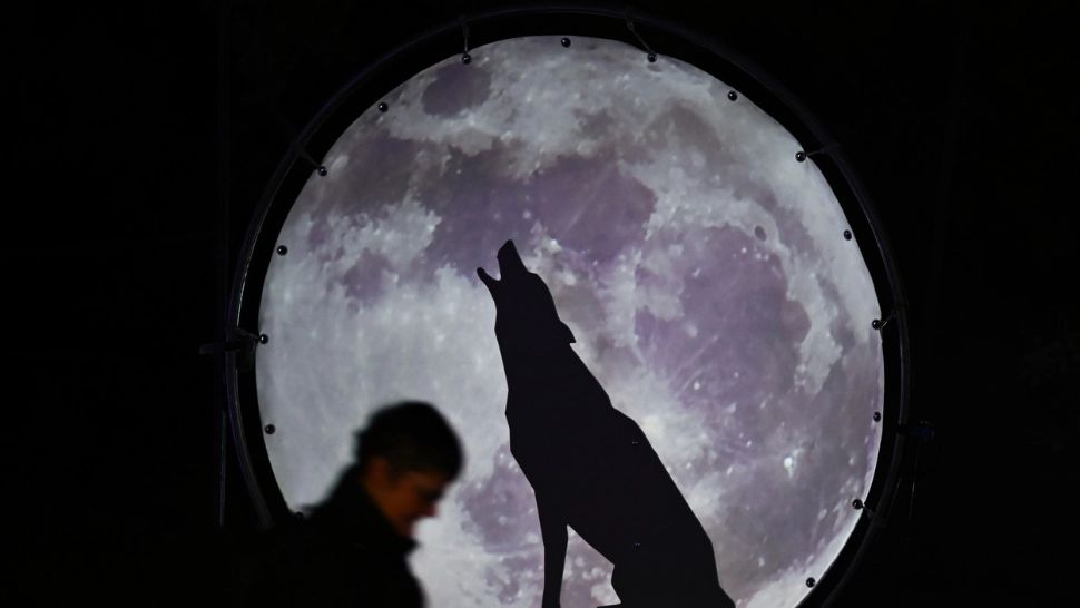 Luna LUPULUI. Puneți-vă dorințele potrivite și este posibil să se îndeplinească