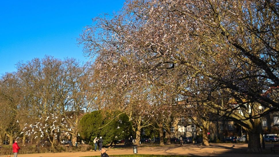 Record de temperaturi ridicate în Europa. Valul de căldură a redus cererea de gaze naturale - VIDEO