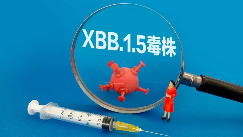 Primele îngrijorări în Europa legate de subvarianta Omicron XBB.1.5, care a devenit dominantă în SUA