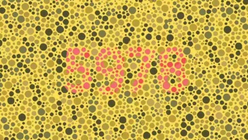 Test de inteligență pentru genii - ești printre cei 2% care văd numărul corect? Încearcă-ți norocul!