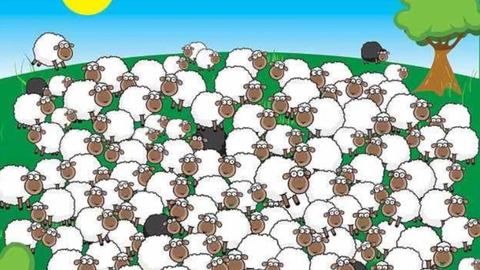 Dublu test de inteligență - găsește câinele și oaia care doarme. Numai geniile găsesc rezolvarea!