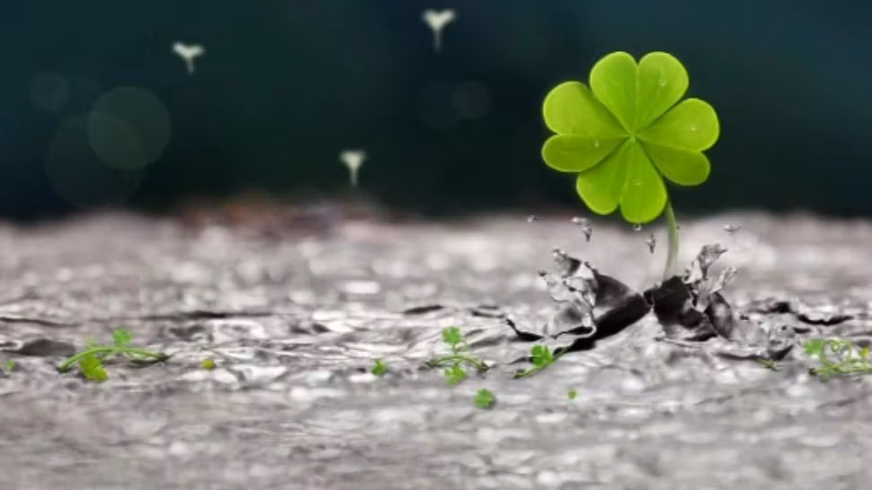 Horoscop WEEKEND 3-5 februarie 2023. Ce ne aduce Luna plină - Zodia care strălucește