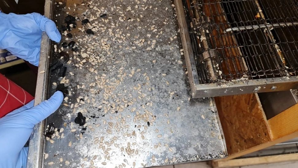 Ce „minunății” au găsit inspectorii de la Protecția Consumatorului la comercianții din Piața Unirii - LISTA celor sancţionaţi (VIDEO)