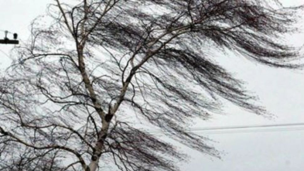 Alertă meteo de vreme severă - Cod galben de vânt puternic - Zonele vizate în următoarele ore