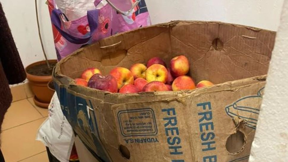 Nereguli GRAVE la un cămin pentru vârstnici din Bucureşti - Ce au găsit comisarii ANPC