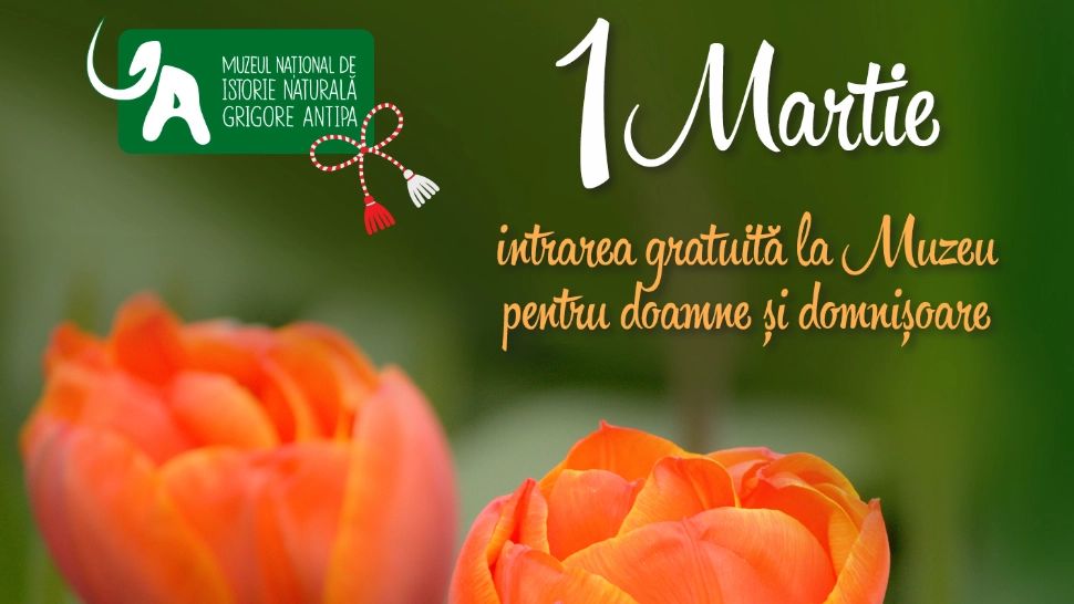 De Mărțișor, doamnele și domnișoarele au intrare gratuită la Muzeul Antipa