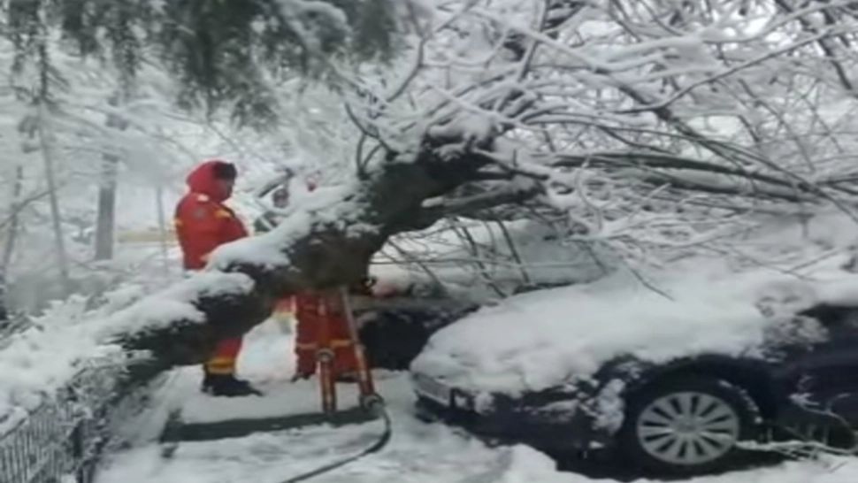 11 maşini, avariate de copacii doborâți de vânt, la Craiova! Vremea extremă le dă de furcă românilor
