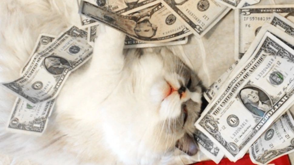 Bani în vis. E de bine sau de rău? - Semnele pe care nu trebuie să le ignori: Când nu vei câștiga deloc