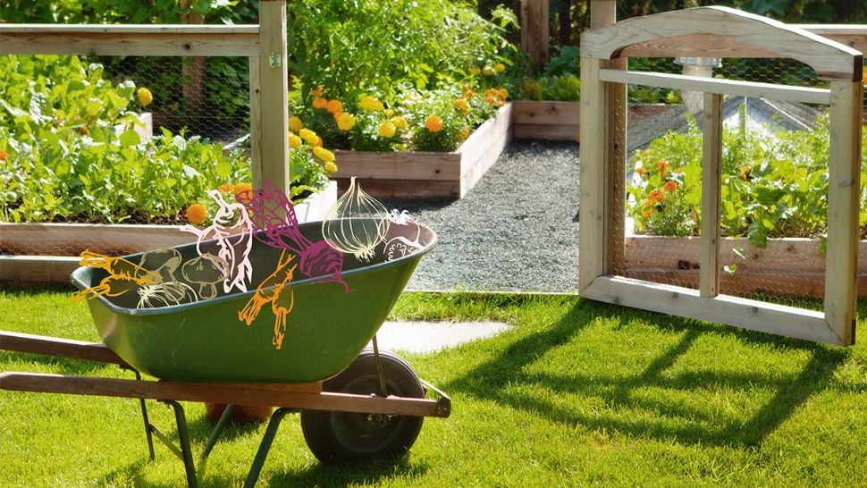 De ce tot mai multi fermieri aleg să cultive legumele și florile în sere (P)