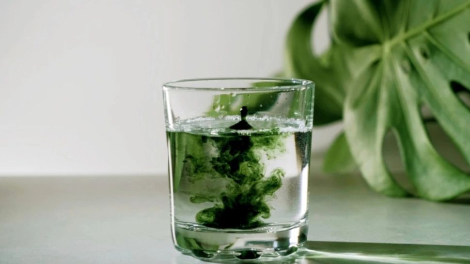 E bine să bei apă cu clorofilă? Adevărul despre una dintre cele mai populare tendințe de pe TikTok