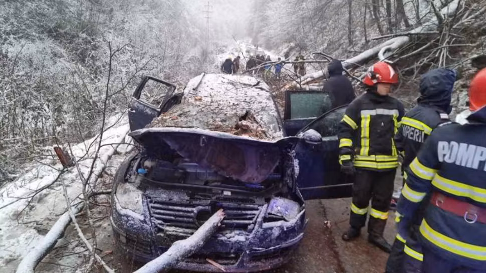 Adolescent de 14 ani, mort după ce un copac a căzut peste maşina în care se afla! Părinții săi, în stare de șoc la spital - FOTO