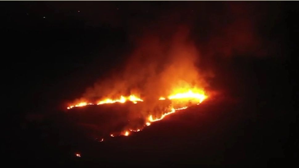 Incendiu puternic de vegetație în Deltă: peste 30 de hectare au ars! Imagini din dronă cu fâșia de foc