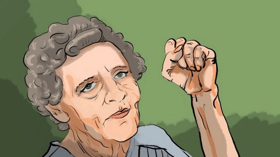 Plantele care vindecă durerea articulară - remediu pentru încheieturile fragile  