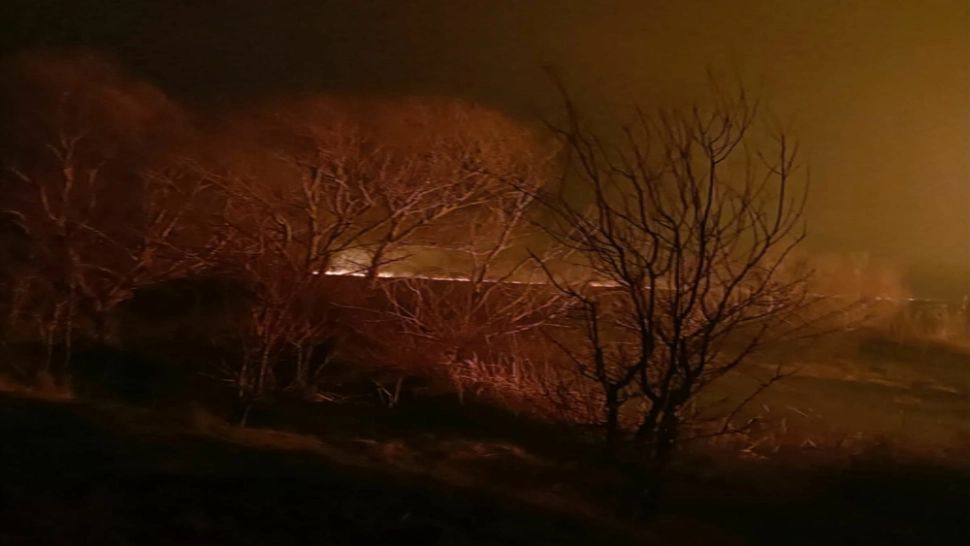 Incendiu uriaș în Delta Dunării! Focul s-a extins pe 150 de hectare VIDEO