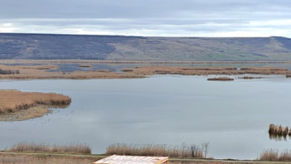 Cum arată "Cabana cardiologilor" din dosarul dispozitivelor medicale extrase de la pacienți morți - VIDEO