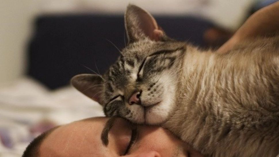 Ce este bine să faci înainte de a dormi - 9 sfaturi de aur pentru un somn liniștit și odihnitor