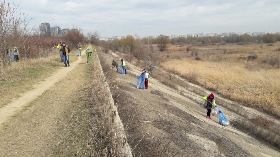 O nouă acțiune de igienizare derulată de Sectorul 4 în Delta Văcărești - FOTO