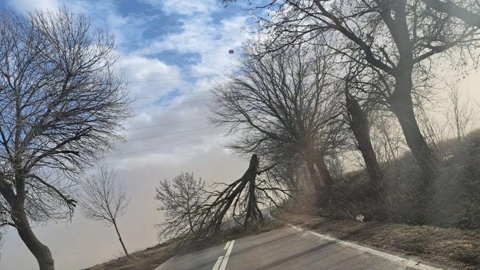 Vântul a făcut prăpăd în Botoșani. Drum blocat, arbori doborâți și rețele electrice doborâte 