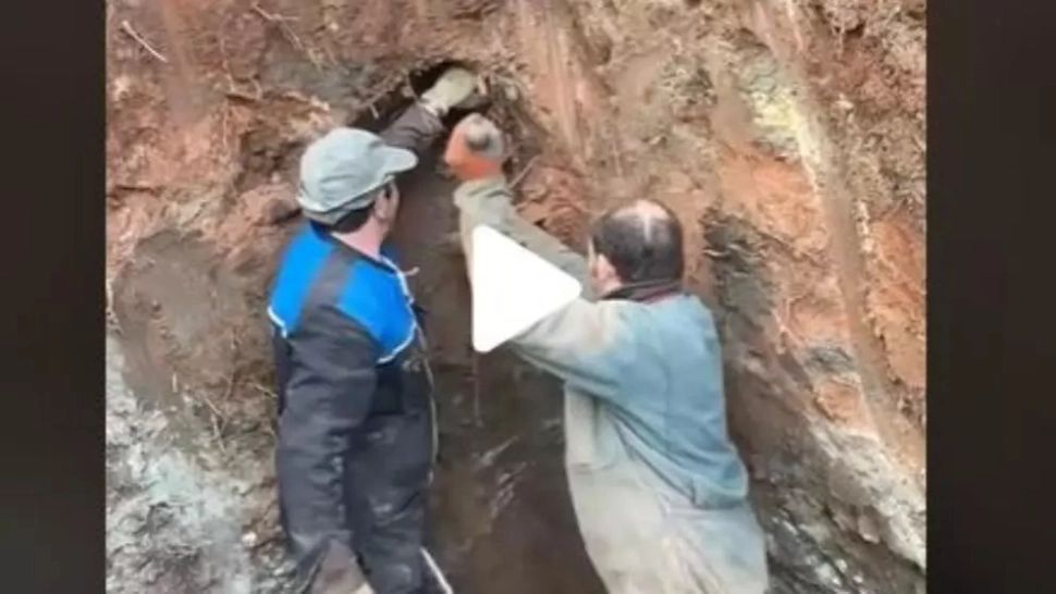 VIDEO – Muncitorii au auzit un zgomot ciudat în timp ce săpau cu excavatorul – Când și-au dat seama despre ce e vorba, s-au oprit imediat