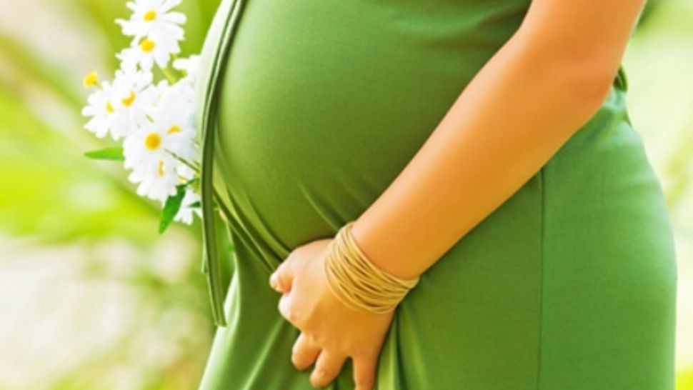 Vouchere de 15.000 de lei pentru fertilizare in vitro: Guvernul a aprobat programul până în 2030. Cine sunt beneficiarii și cum se depun dosarele online