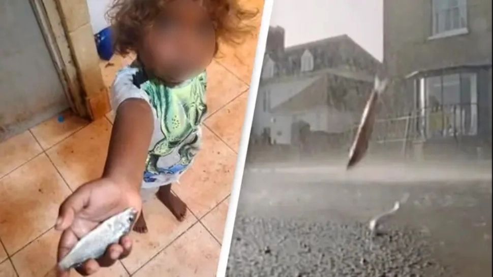 A plouat cu PEȘTI în Australia! Explicația oamenilor de știință cu privire la acest fenomen