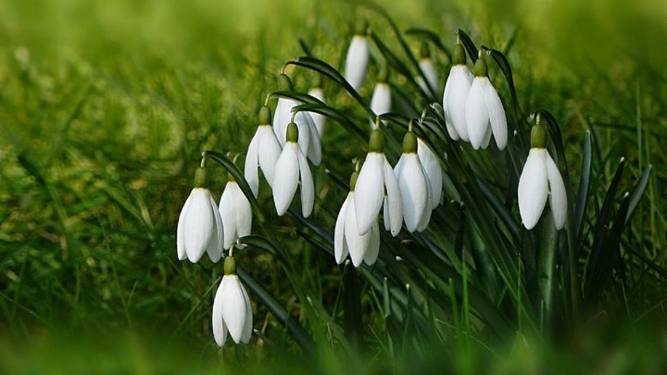 Variații majore de temperatură, în toată țara. Când revine frigul - prognoza pe două săptămâni 